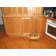 Raised Dog Feeder (Medium)